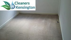 carpet cleaners kensington